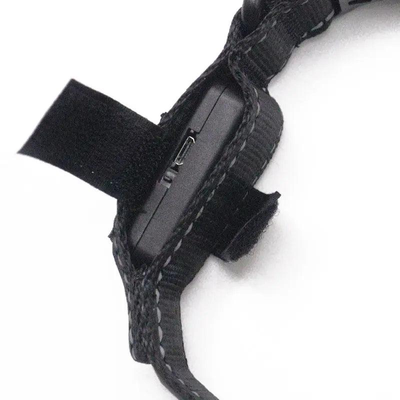 LED Dog Collar - Programable - FluffyPaw