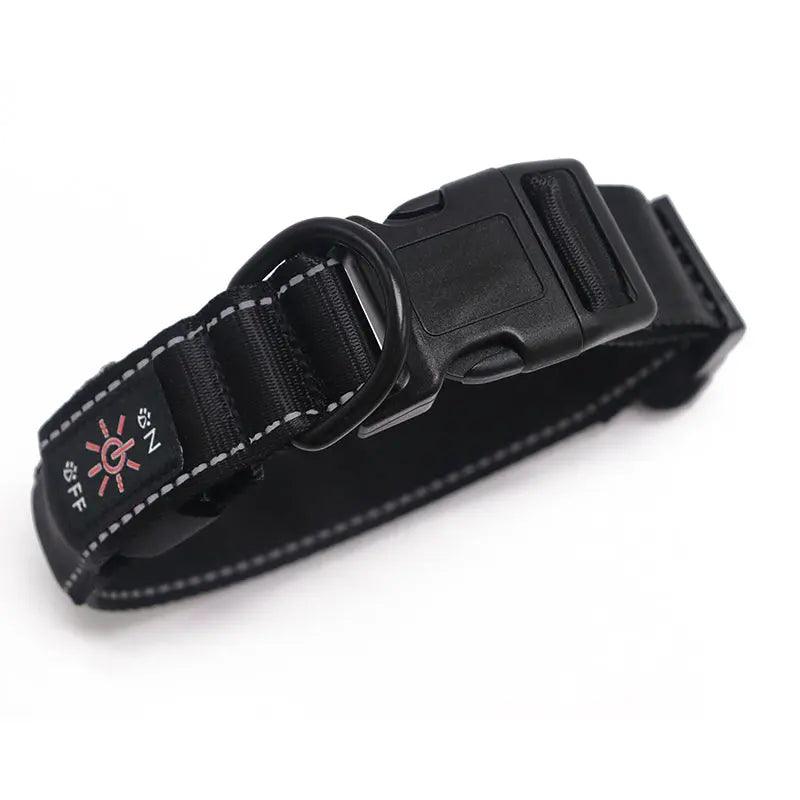 LED Dog Collar - Programable - FluffyPaw
