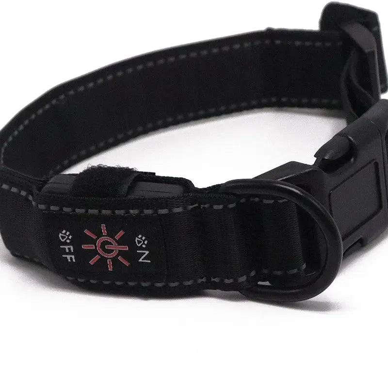 LED Dog Collar - Programable - FluffyPaw