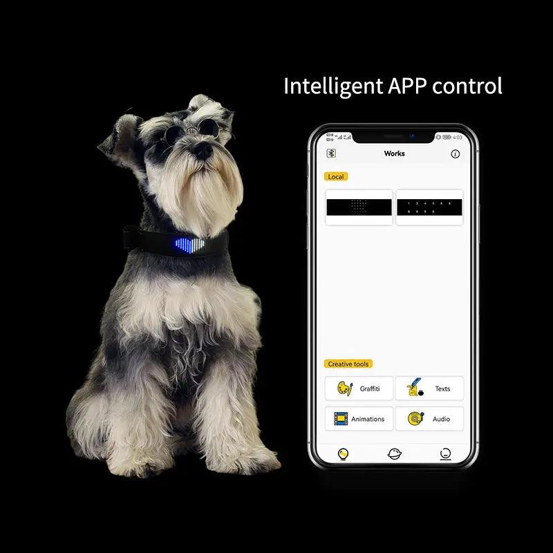 LED Dog Collar - Programable - FluffyPaw