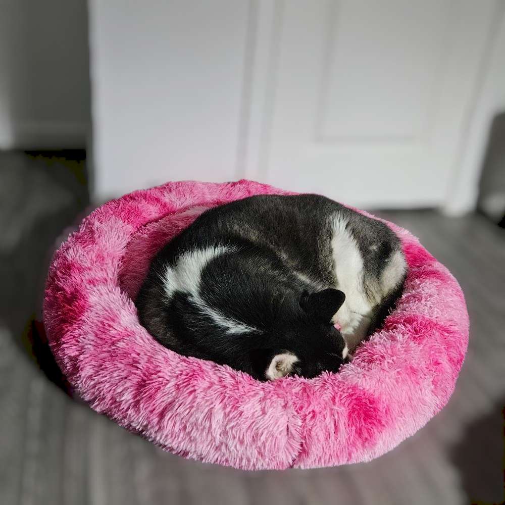 FluffyPaw 40" Tie-Dye Pink Donut Dog Bed – Soft, Calming, Cozy Pet Bed | FluffyPaw