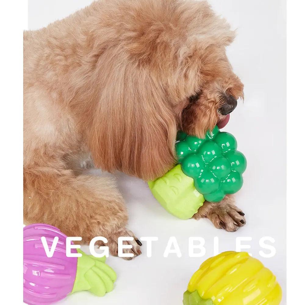 FluffyPaw Cute Veggie Squeaky Dog Chew Toy