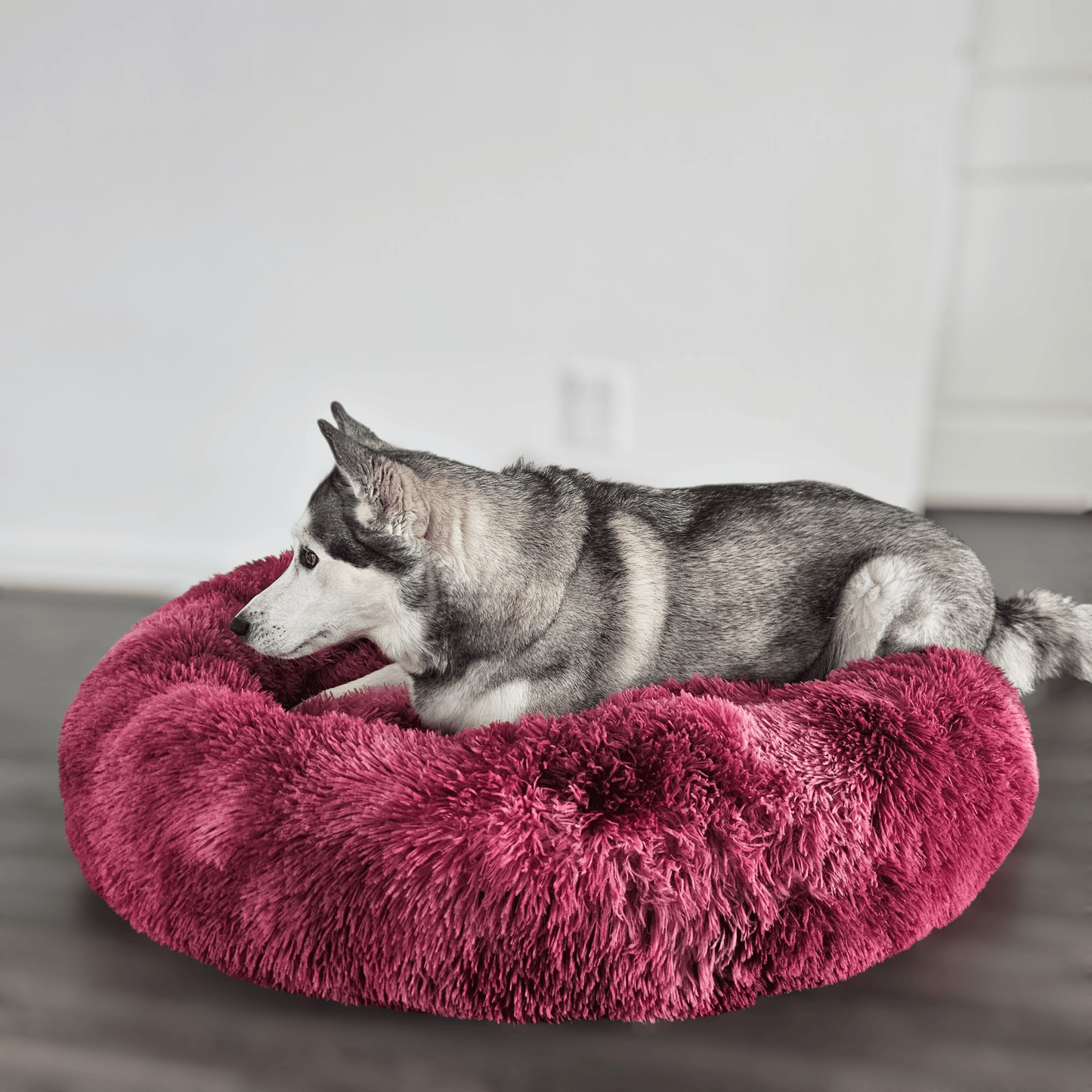 FluffyPaw Donut Dog Bed S / 15in Diameter / Red