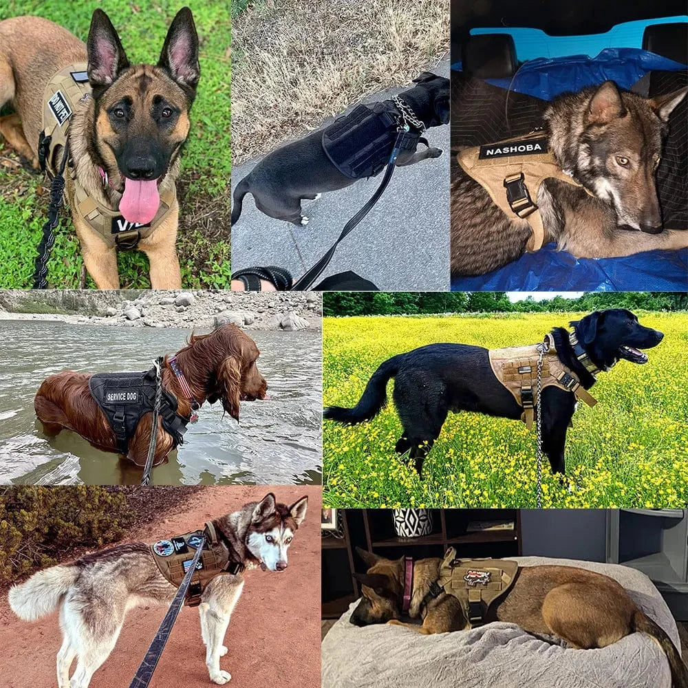 FluffyPaw Large Dog Harness and Leash Set for Medium & Large Dogs