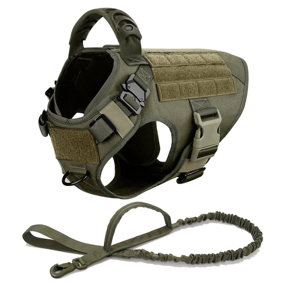 FluffyPaw Large Dog Harness and Leash Set for Medium & Large Dogs Green 2 Pieces / S