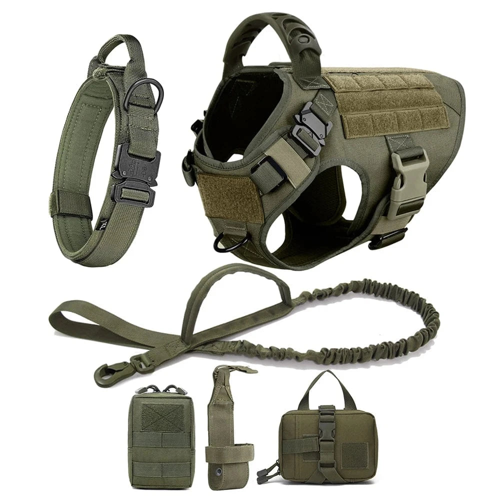 FluffyPaw Large Dog Harness and Leash Set for Medium & Large Dogs Green 6 Pieces / S