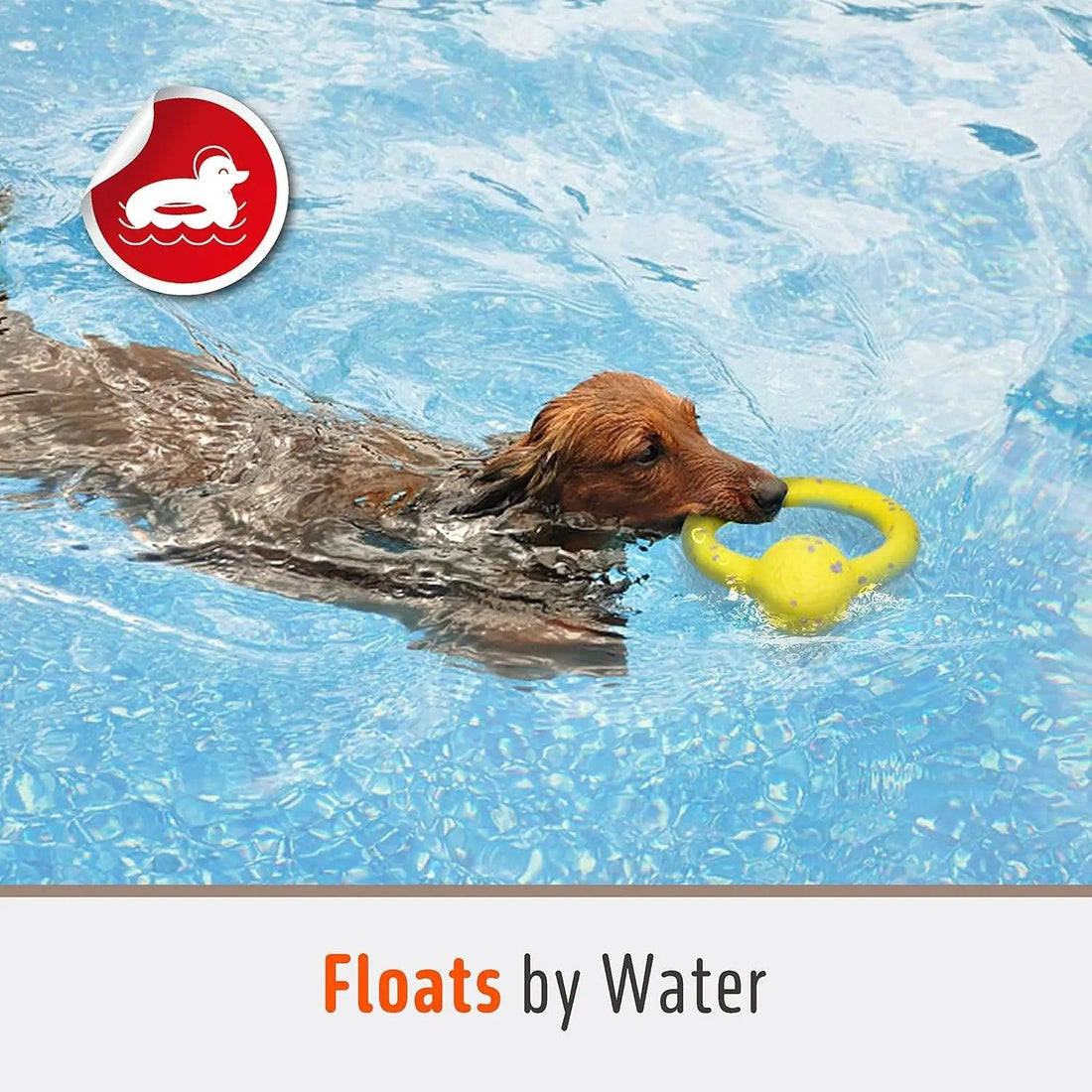 5 Must-Have Dog Toys to Keep Your Pup Entertained