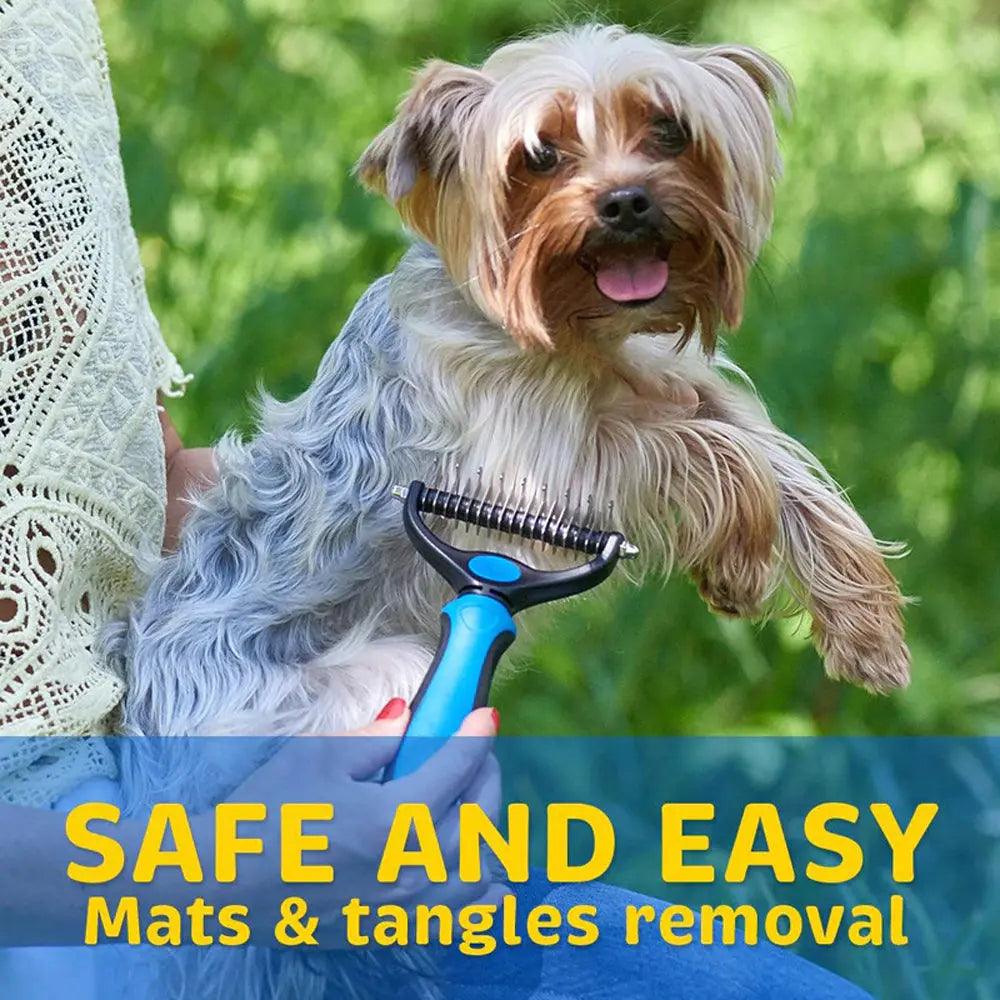 Dog Grooming Essentials: Tools Every Pet Owner Needs