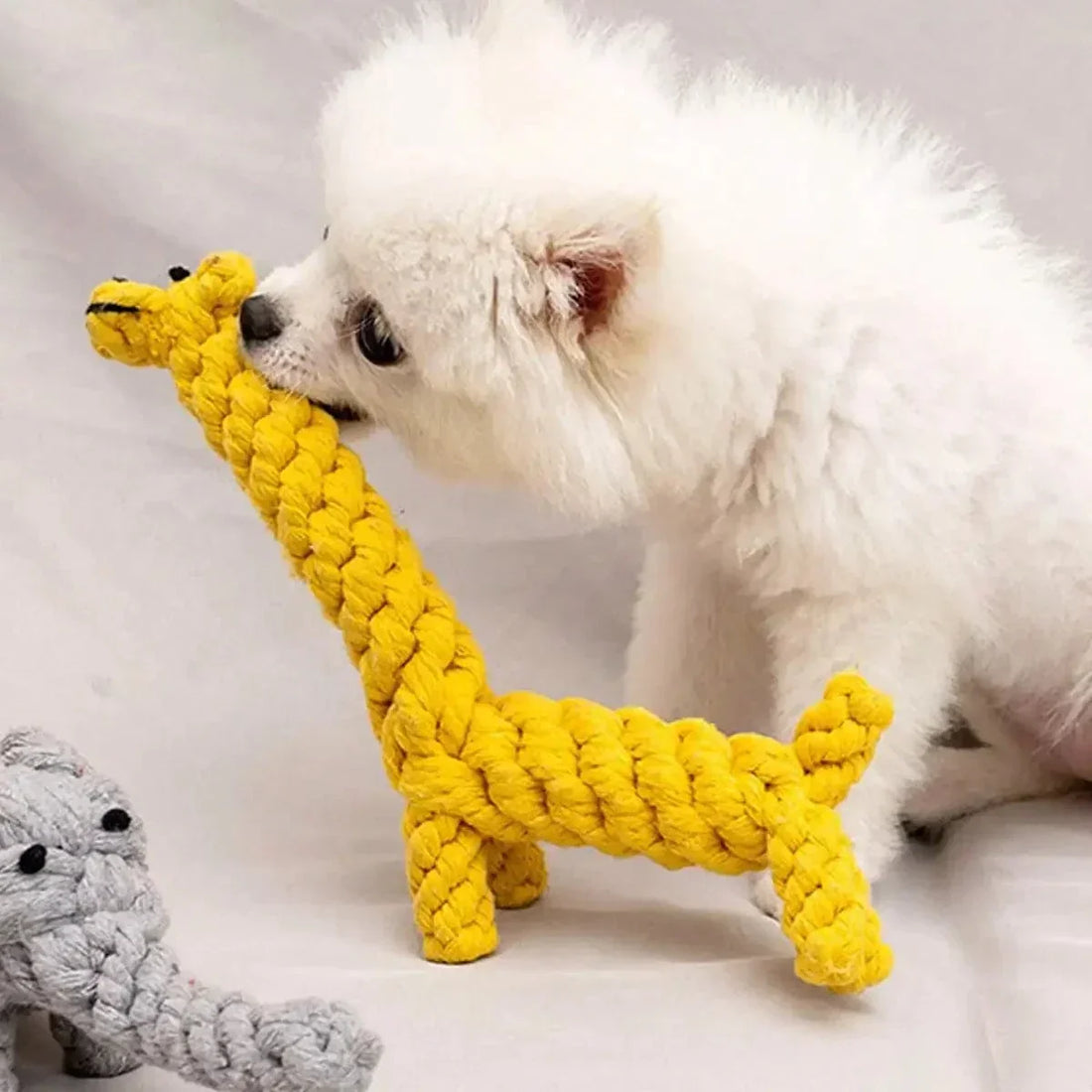 Eco-Friendly Dog Products: Sustainable Choices for Conscious Pet Owners