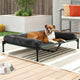 Why Fluffy Paw Store’s Dog Beds Are the Perfect Choice for Your Pet