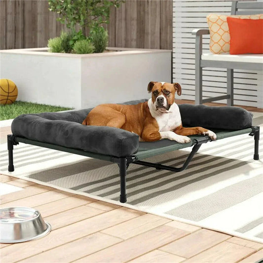 The Best Dog Beds for Health: Why Your Dog Needs a Comfortable Bed