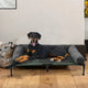 The Best Dog Beds for Health: Why Your Dog Needs a Comfortable Bed