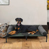 The Best Dog Beds for Health: Why Your Dog Needs a Comfortable Bed