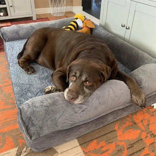 Top Reasons Fluffy Paw Dog Beds Ensure Your Pet's Comfort