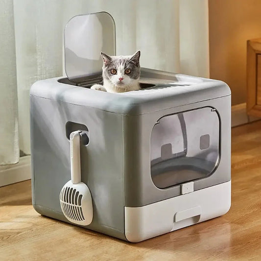 Traveling with Your Dog? Don’t Forget These Accessories!