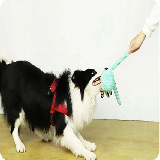 5 Must-Have Dog Toys to Keep Your Pup Entertained