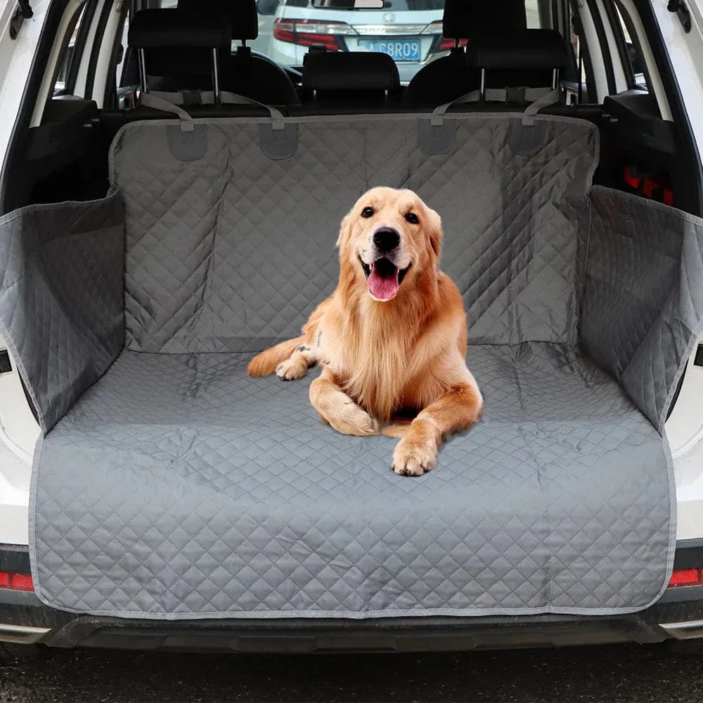 Choosing the Right Cat Seat for Car Rides: Comfort and Safety Tips