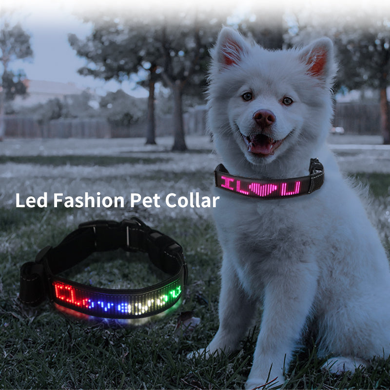 LED Dog Collar - Programable