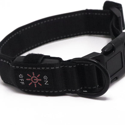 LED Dog Collar - Programable