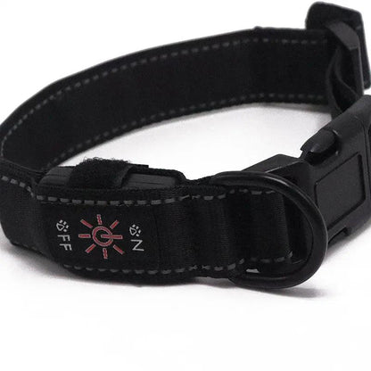 LED Dog Collar - Programable - FluffyPaw
