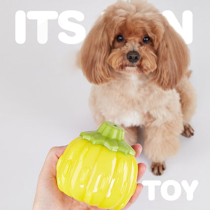 Cute Veggie Squeaky Dog Chew Toy