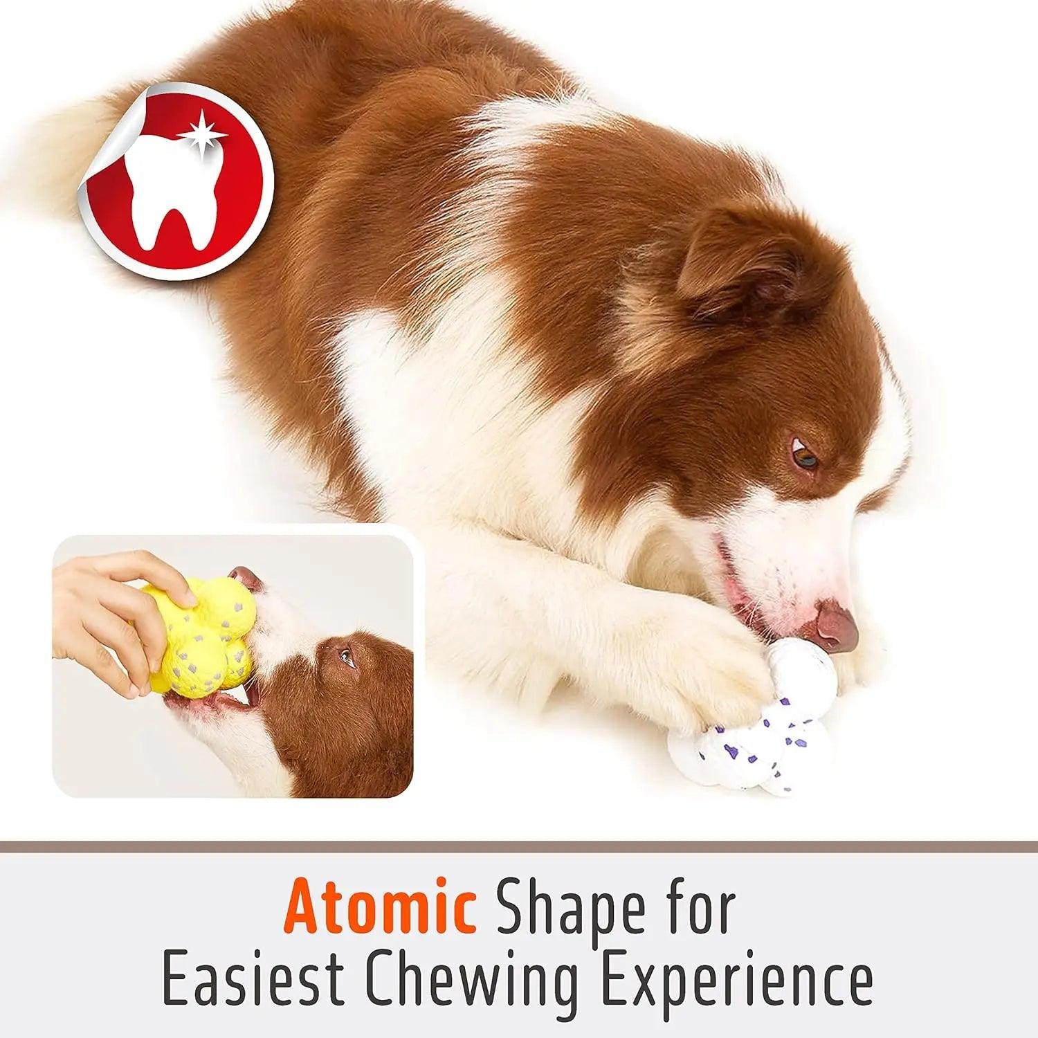 FluffyPaw 3 Pack Dog Toy Bounce Ball Tug War Ring Set