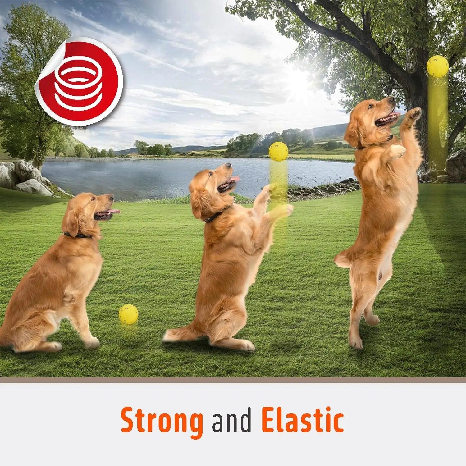FluffyPaw 3 Pack Dog Toy Bounce Ball Tug War Ring Set