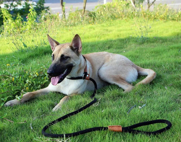 FluffyPaw 4 Ft. Quick Slide P-style Dog Leash