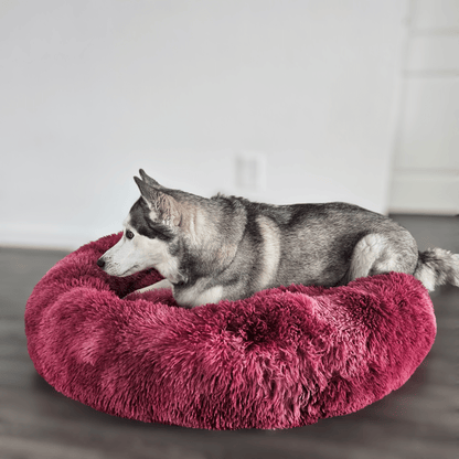 FluffyPaw Donut Dog Bed S / 15in Diameter / Red
