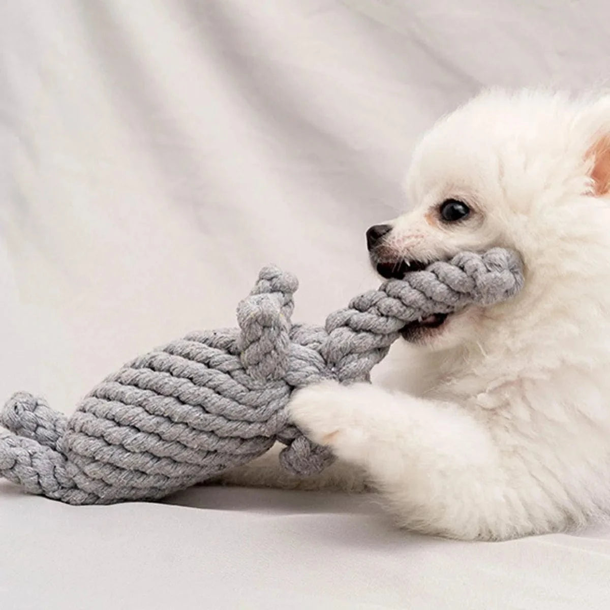 FluffyPaw Durable Cotton Rope Dog Toy – Hand-Woven for Small & Medium Dogs