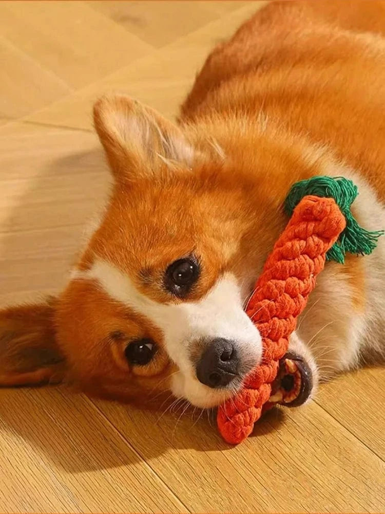 FluffyPaw Durable Cotton Rope Dog Toy – Hand-Woven for Small & Medium Dogs