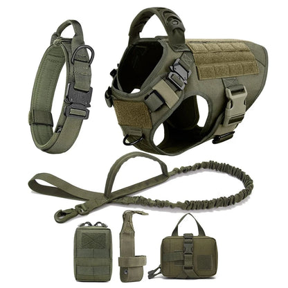 FluffyPaw Large Dog Harness and Leash Set for Medium & Large Dogs Green 6 Pieces / S