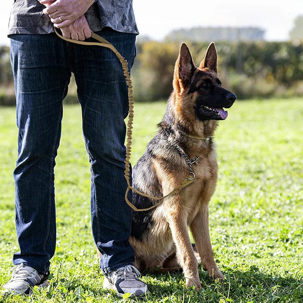 FluffyPaw Military Adjustable Dog Leash with Quick Release & 2 Handles