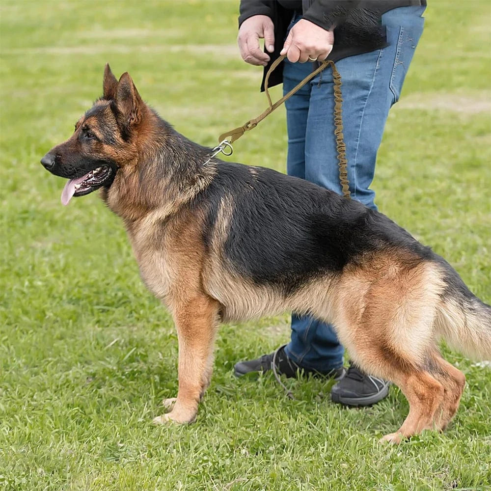 FluffyPaw Military Adjustable Dog Leash with Quick Release & 2 Handles